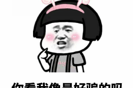 含山贷款清欠服务